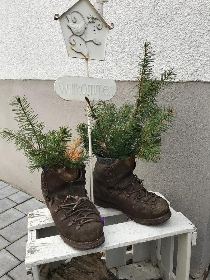 Ferienwohnung Stafflel - Wohlfuehlen Im Odenwald Schmal-Beerbach Exteriör bild